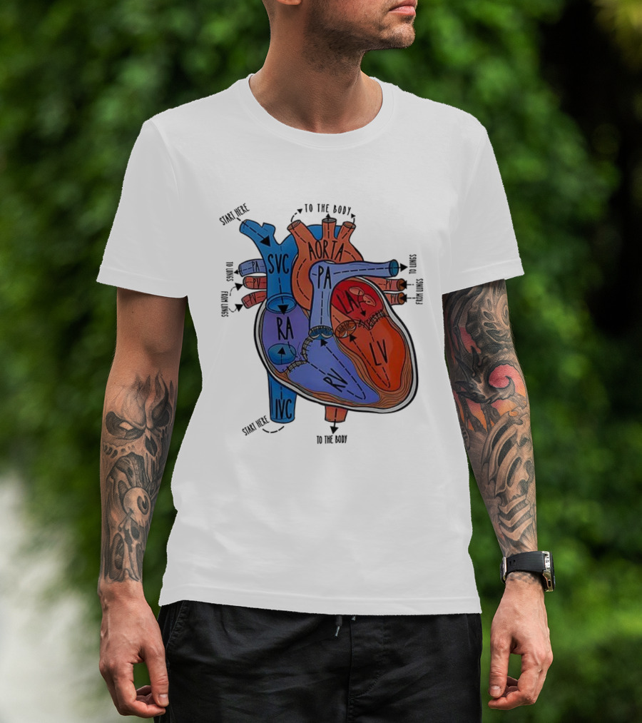 Heart Anatomy Blood Flow SVC RA RV IVC Aorta PA PV LA LV T-Shirt