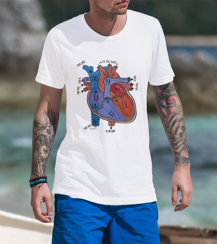 Heart Anatomy Blood Flow SVC RA RV IVC Aorta PA PV LA LV T-Shirt
