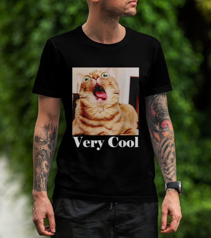 Silly Cat Meme Humor Very Cool Funny Cats T-Shirt