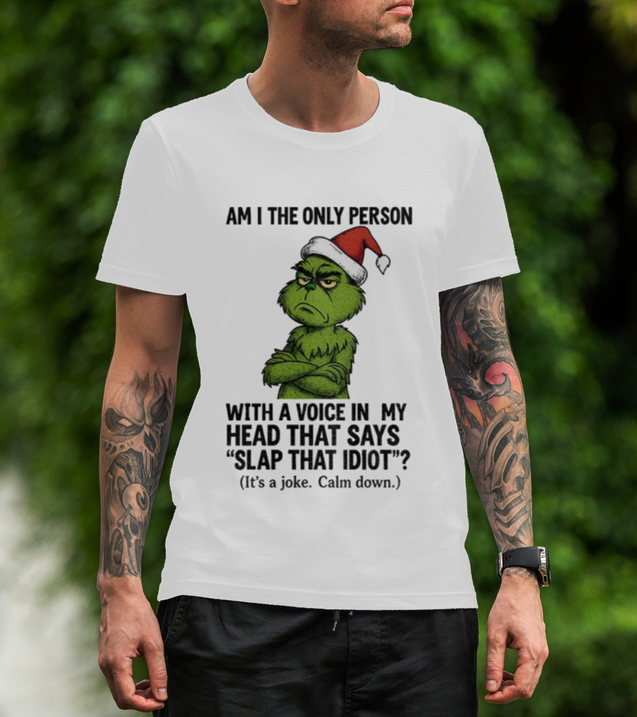 Grinch Santa Hat Am I The Only Person With A Voice In My Head That Says Slap That Idiot Christmas T-Shirt