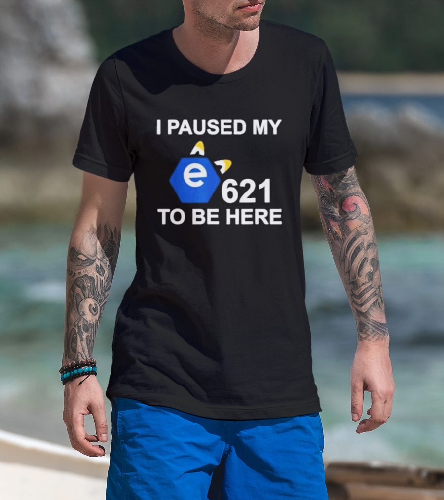 I Paused My E621 To Be Here Furry Meme Humor T-Shirt