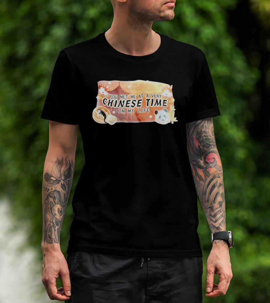 You Met Me At A Very Chinese Time Panda Dumplings Chopsticks Cat Pagoda T-Shirt