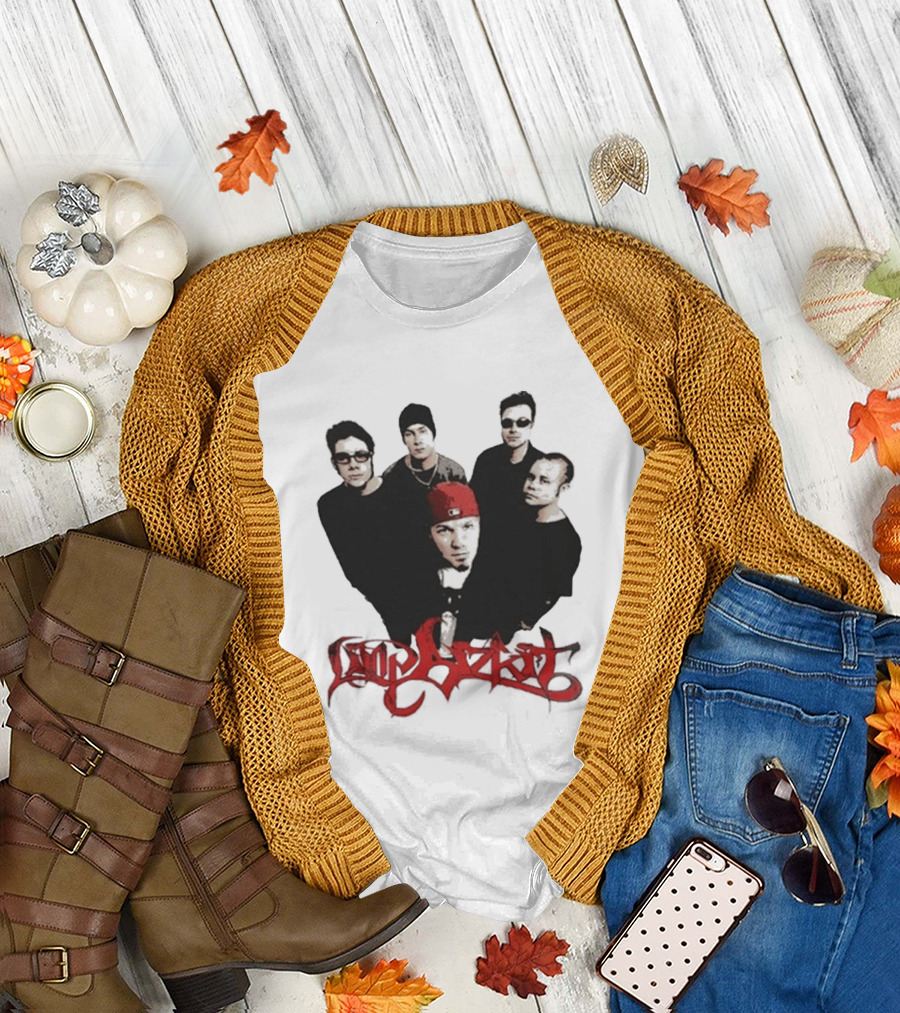 What Do You Guys Think of My Limp Bizkit Band Members T-Shirt