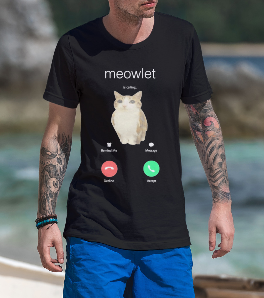 Meowlet Is Calling Remind Me Message Decline Accept Cat Image T-Shirt