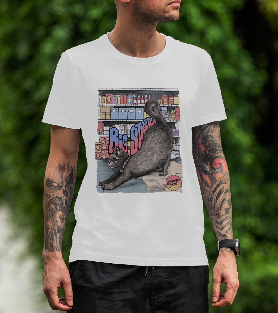Big Stretch Bodega Cats Groceries Stack T-Shirt