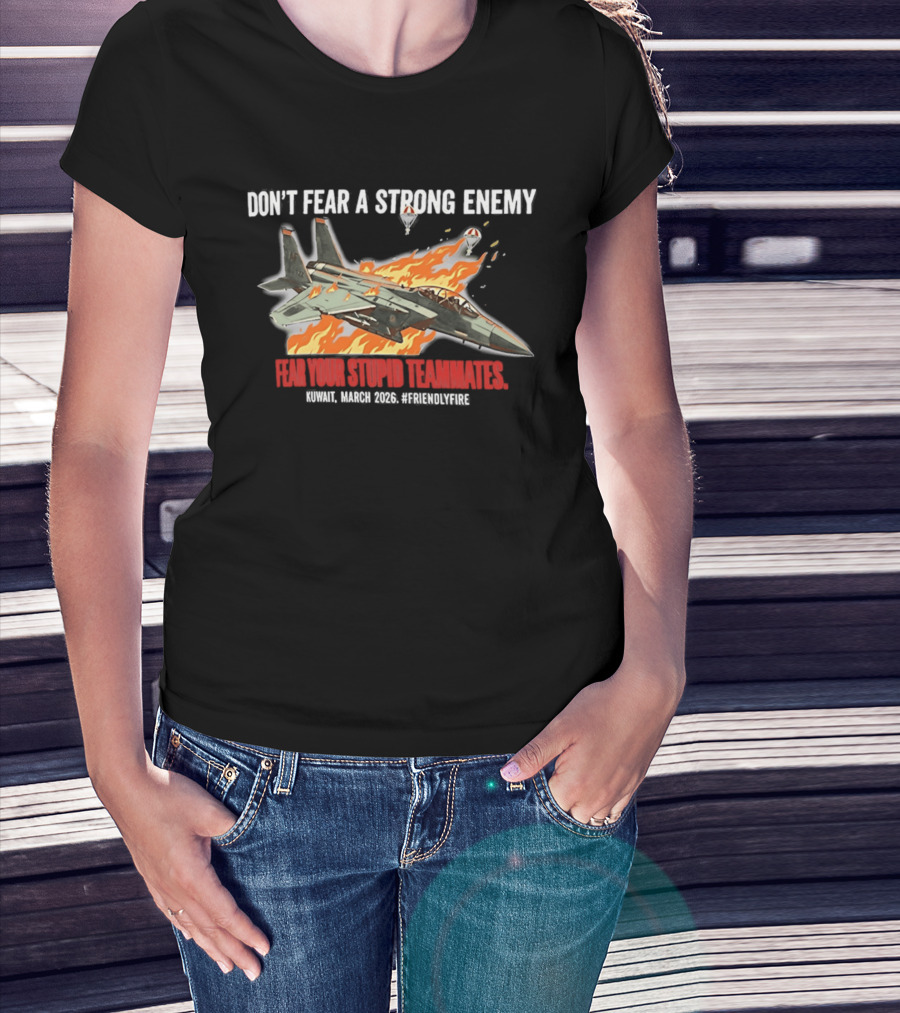 F 15e Strike Eagle Don't Fear A Strong Enemy Fear Your Stupid Teammates 2026 T-Shirt
