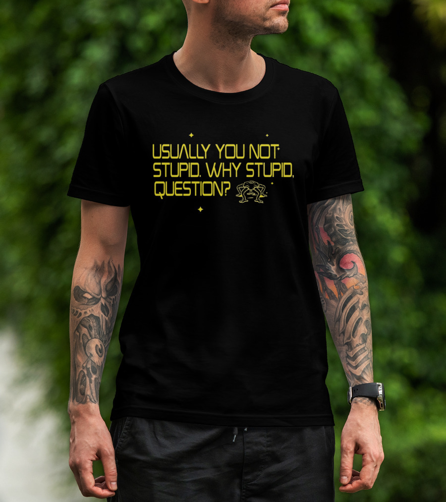 Usually You Not Stupid Why Stupid Question Project Hail Mary T-Shirt