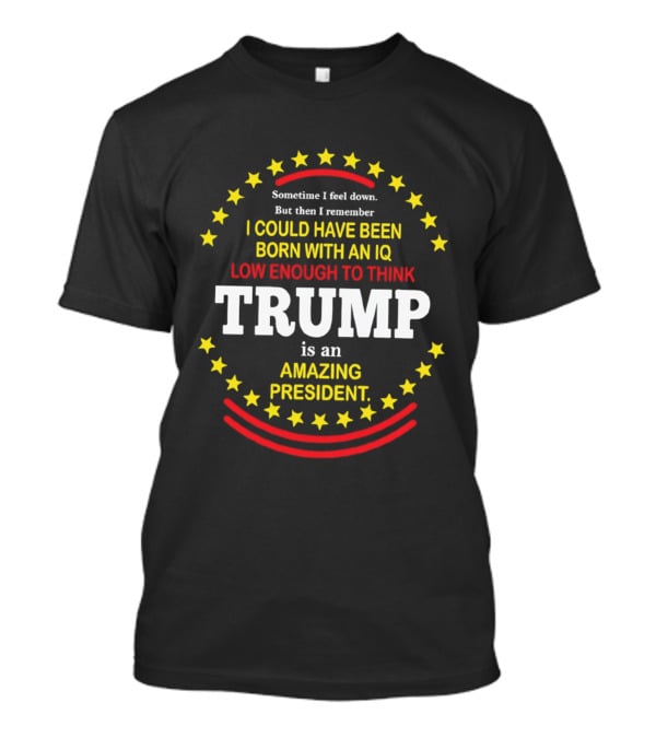 Sometime I Feel Down But Then I Remember I Could Have Been Born With An IQ Low Enough To Think Trump Is An Amazing President T-Shirt