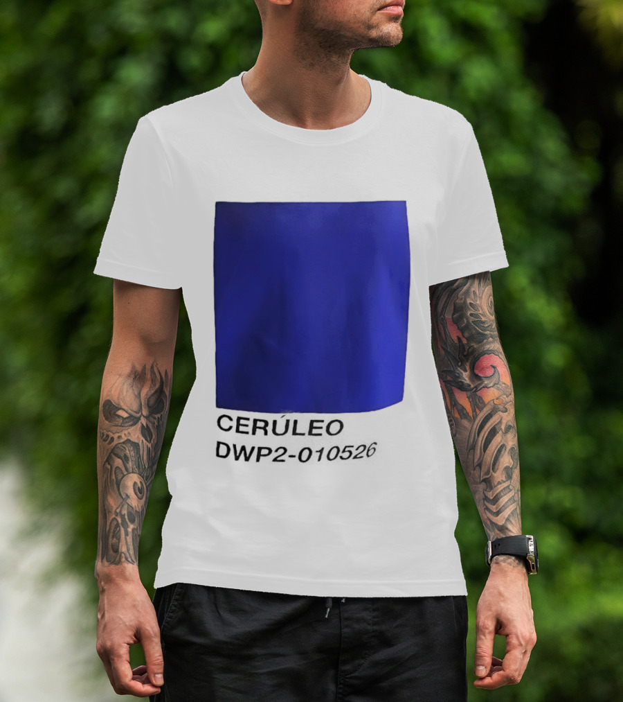 Ceruleo DWP2 010526 T-Shirt