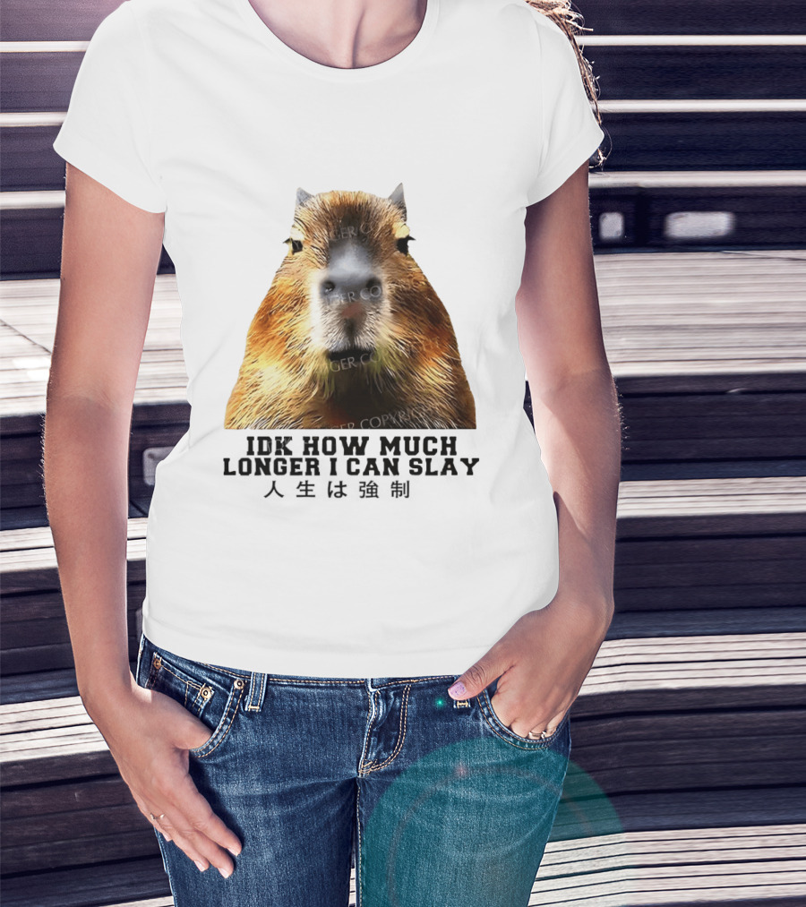 Capybara Idk How Much Longer I Can Slay T-Shirt