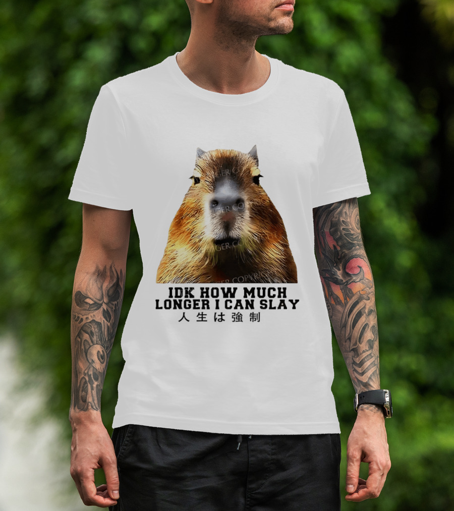 Capybara Idk How Much Longer I Can Slay T-Shirt