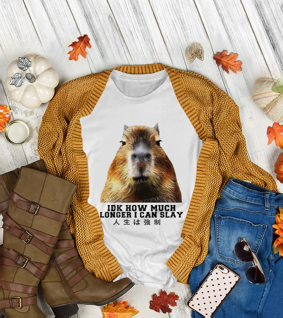 Capybara Idk How Much Longer I Can Slay T-Shirt
