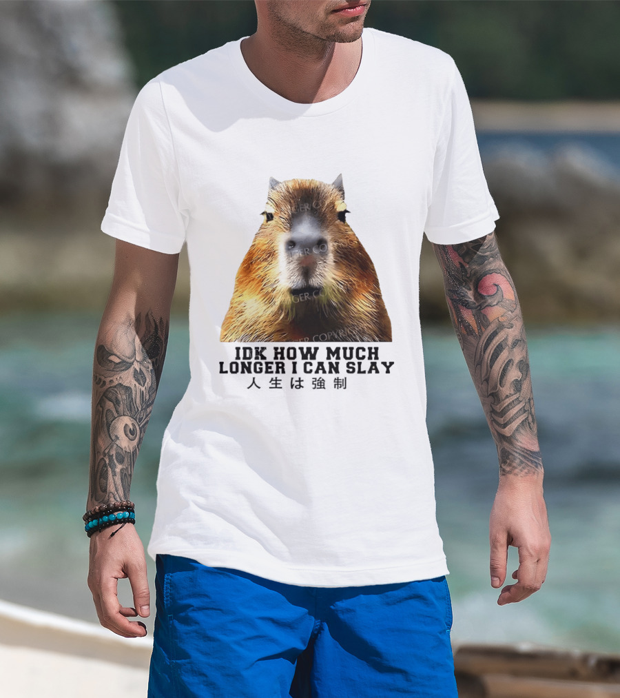 Capybara Idk How Much Longer I Can Slay T-Shirt