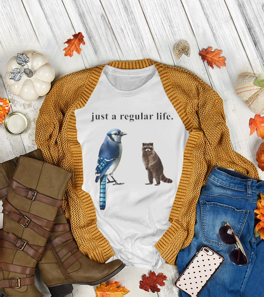 Just a Regular Life Raccoon and Bird Regular Show T-Shirt