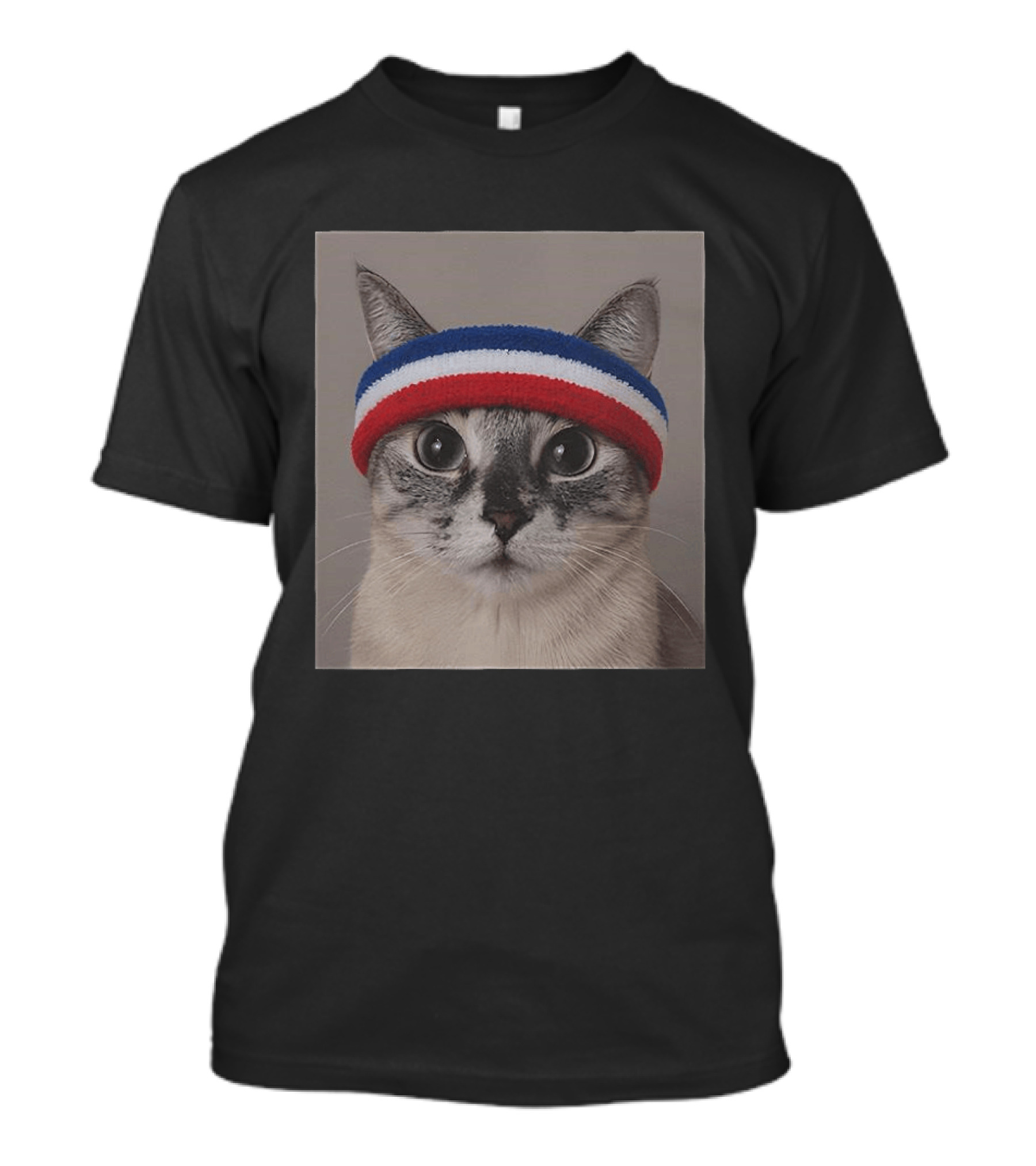 Cat Wearing Red White Blue Terry Headband T-Shirt