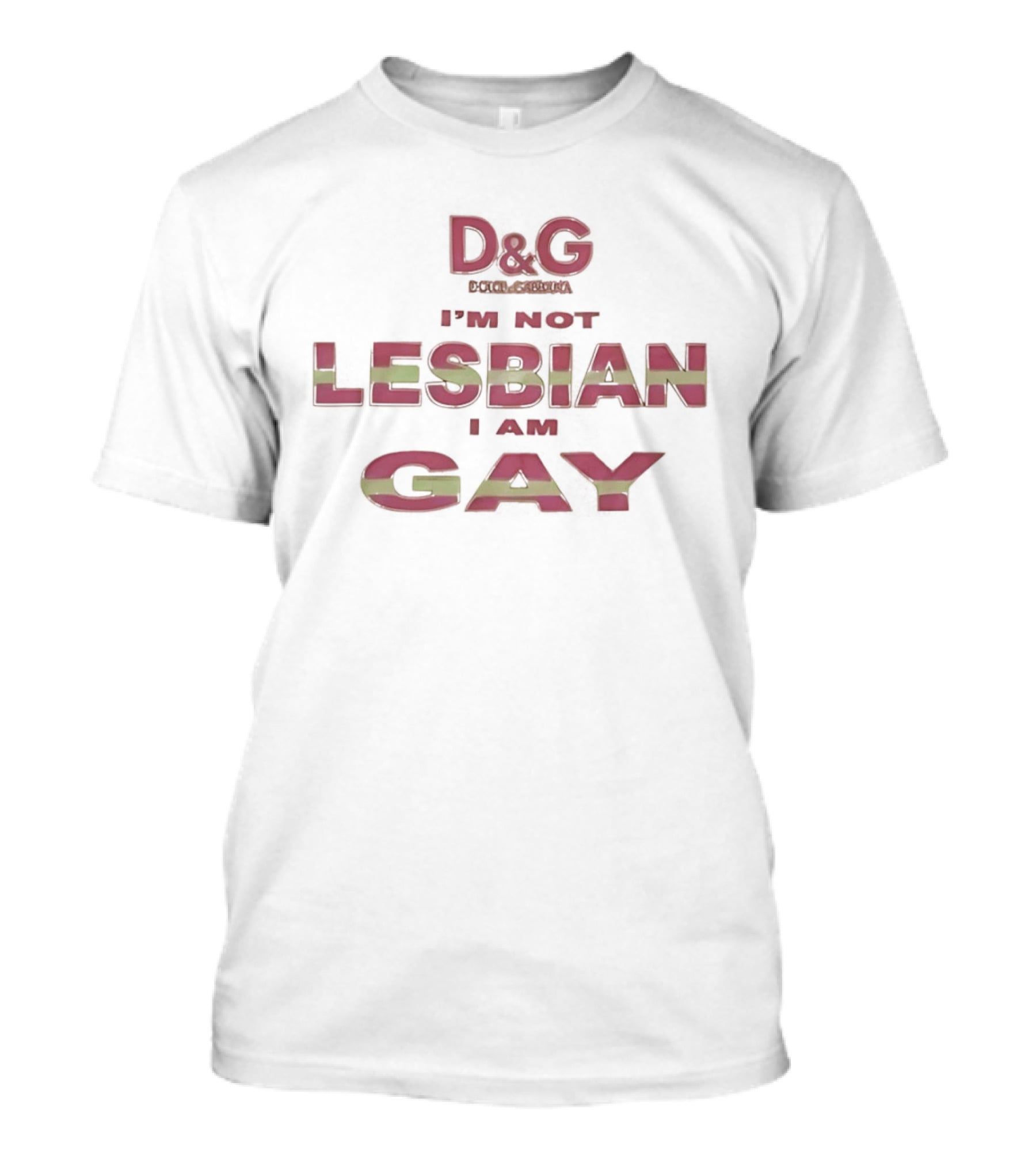 D&G I'm Not Lesbian I Am Gay LGBT Pride T-Shirt
