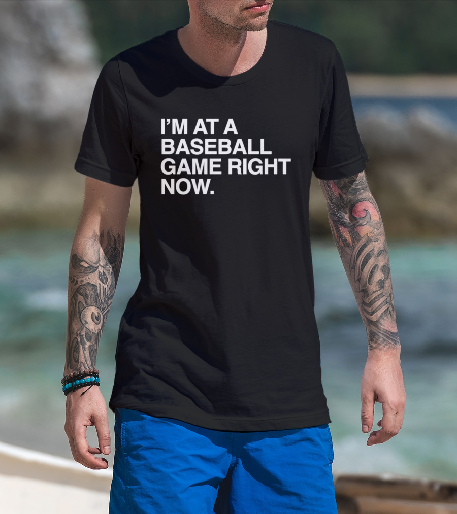 I'm At A Baseball Game Right Now T-Shirt