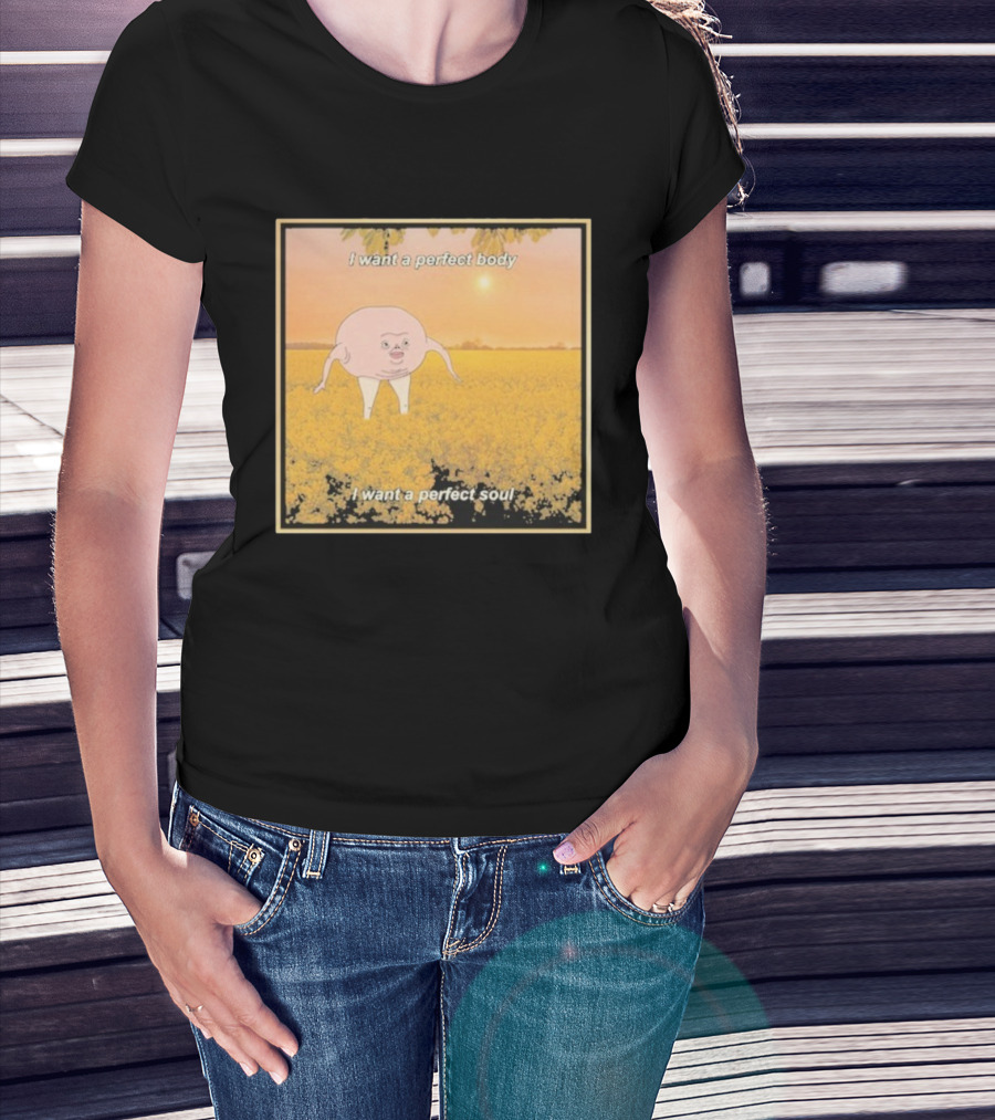 I Want A Perfect Body I Want A Perfect Soul Sunset Parody T-Shirt