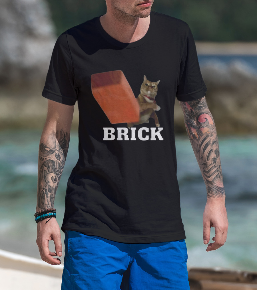 Funny Cat Brick Throw Meme T-Shirt