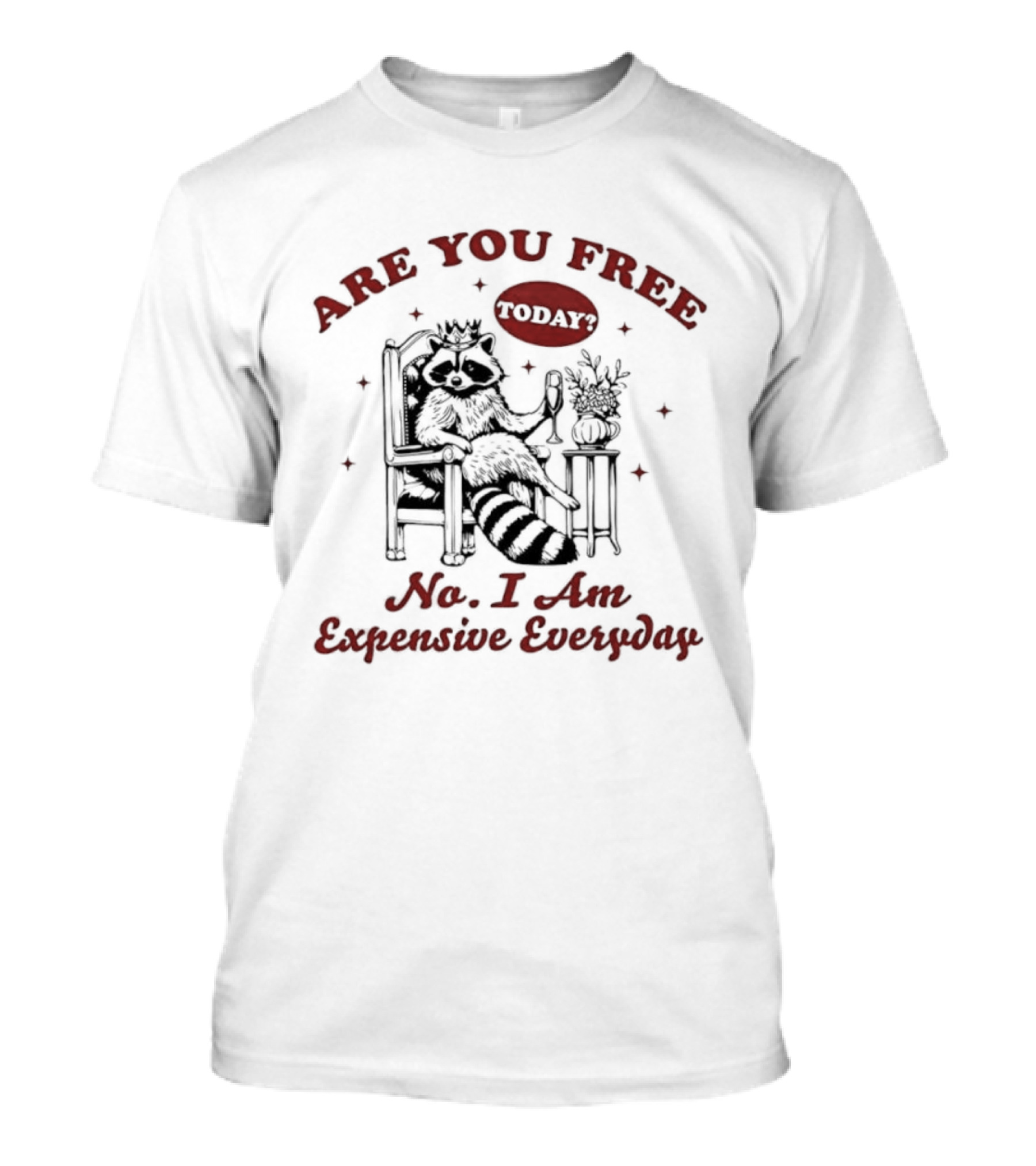 Are You Free Today No I Am Expensive Everyday Raccoon T-Shirt