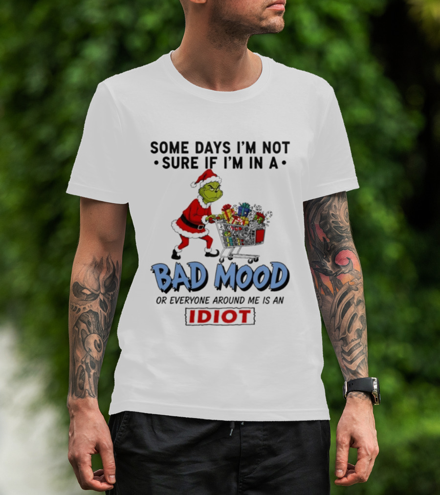 Grinch Some Days I'm Not Sure If I'm In A Bad Mood Or Everyone Around Me Is An Idiot T-Shirt