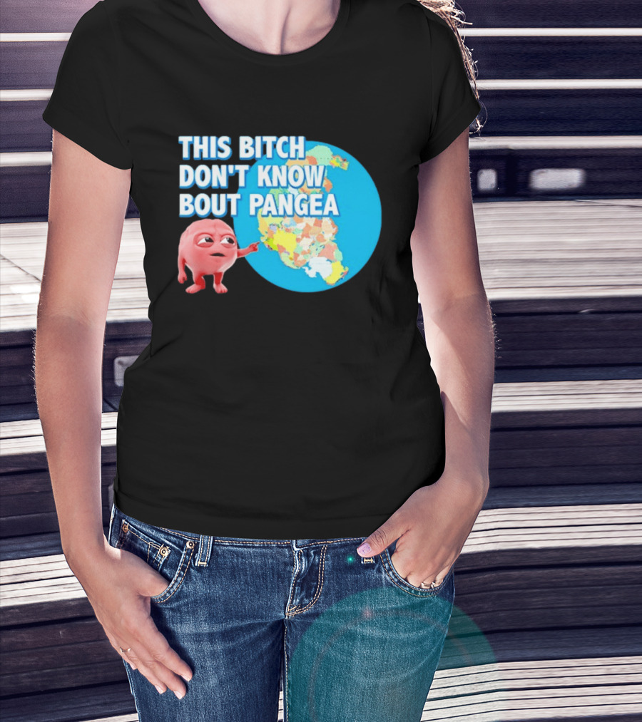 This Bitch Don't Know Bout Pangea Brain Meme Map T-Shirt