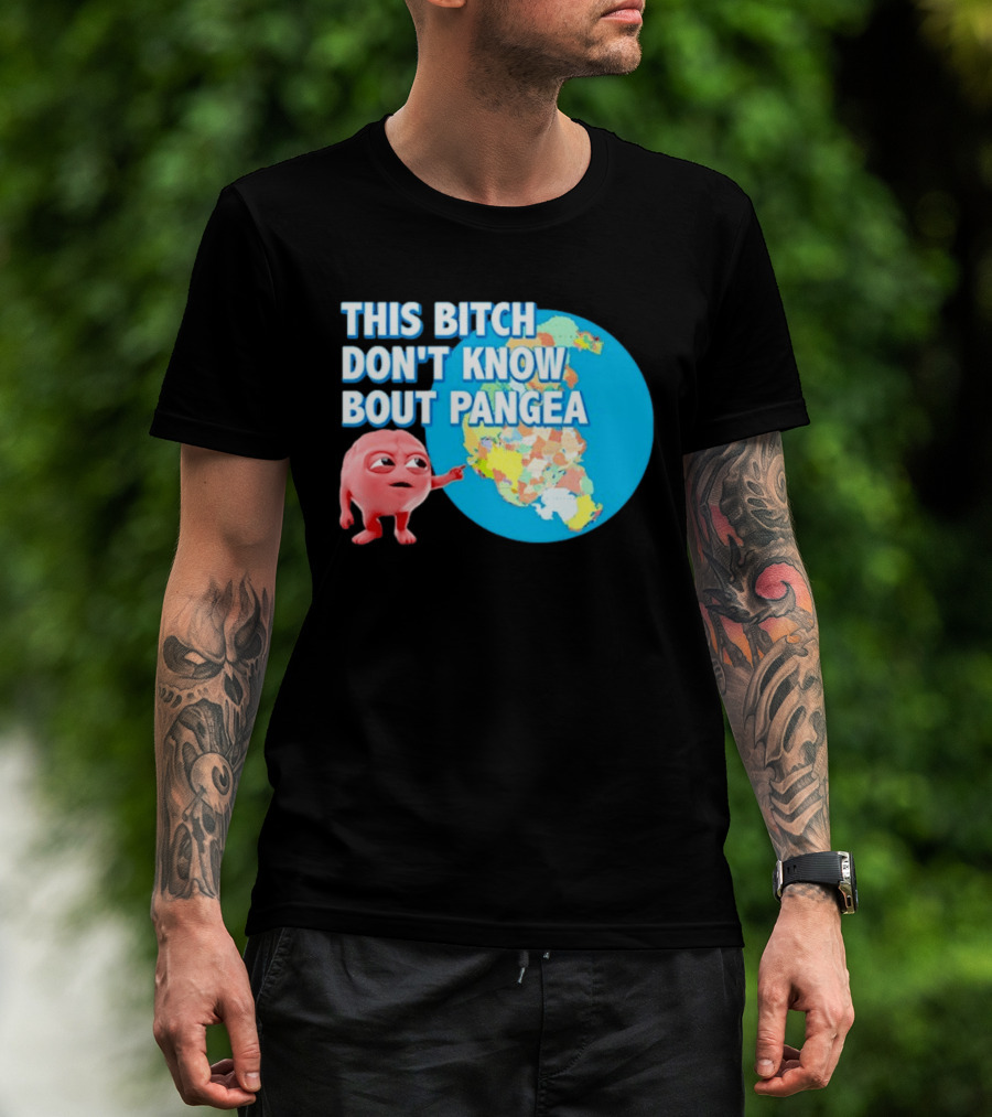 This Bitch Don't Know Bout Pangea Brain Meme Map T-Shirt