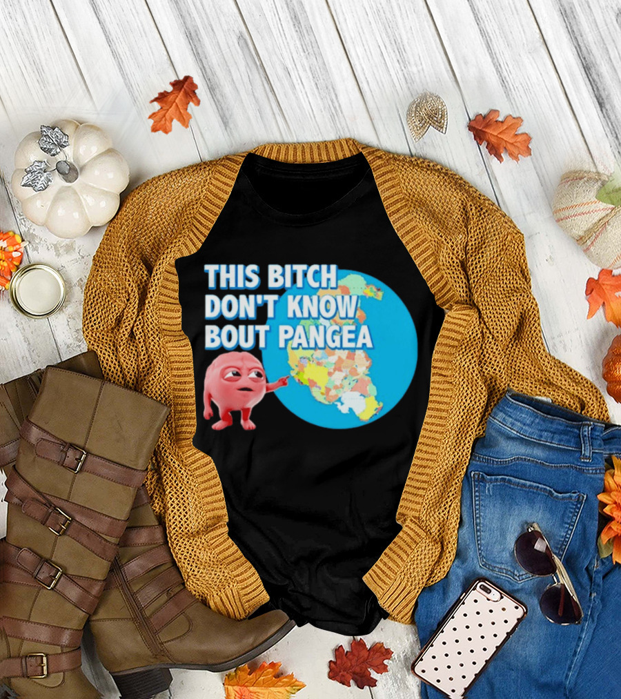 This Bitch Don't Know Bout Pangea Brain Meme Map T-Shirt