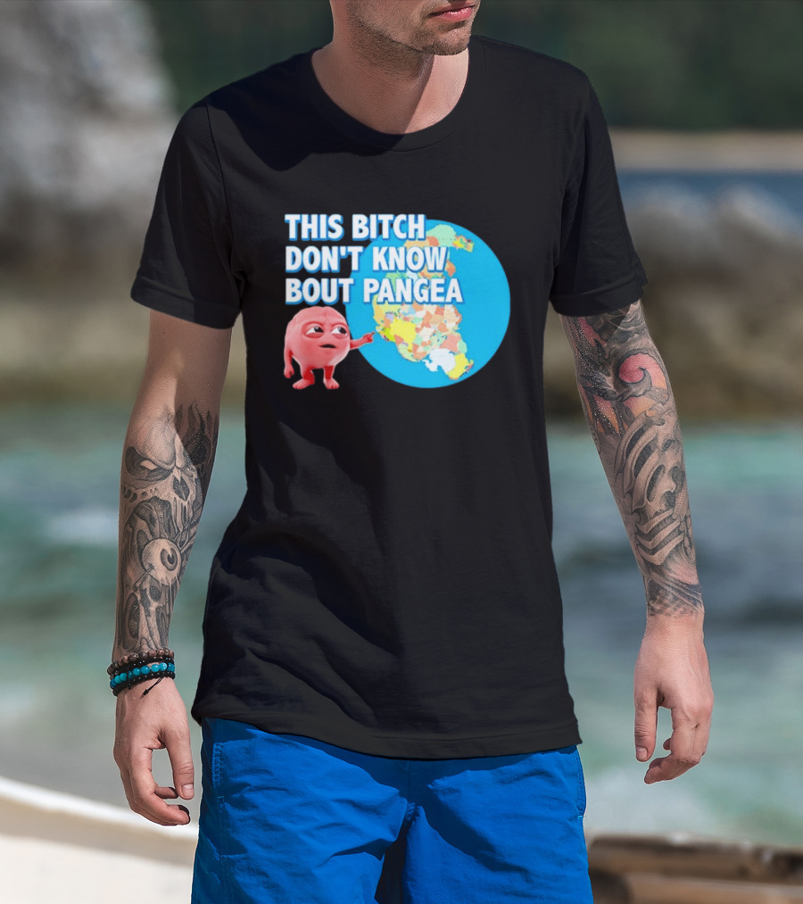 This Bitch Don't Know Bout Pangea Brain Meme Map T-Shirt
