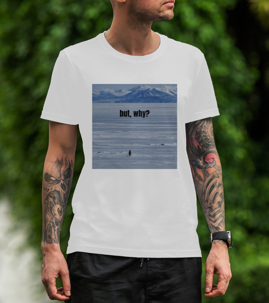 But Why Penguin On Ice With Mountain T-Shirt
