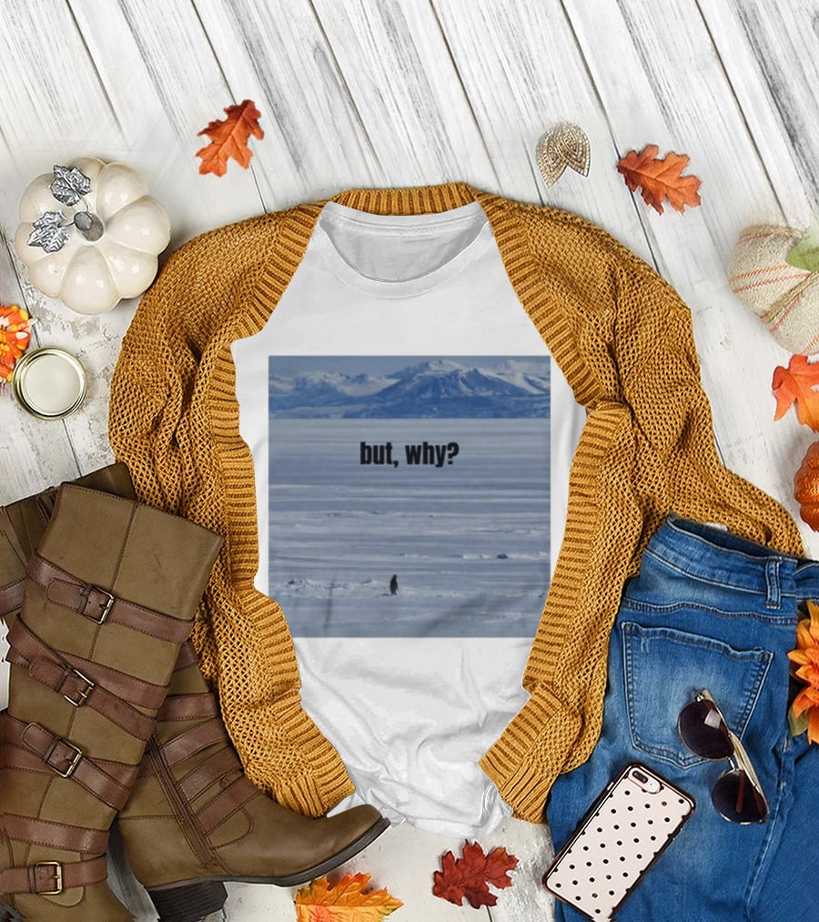 but why penguin on ice with mountain T-Shirt