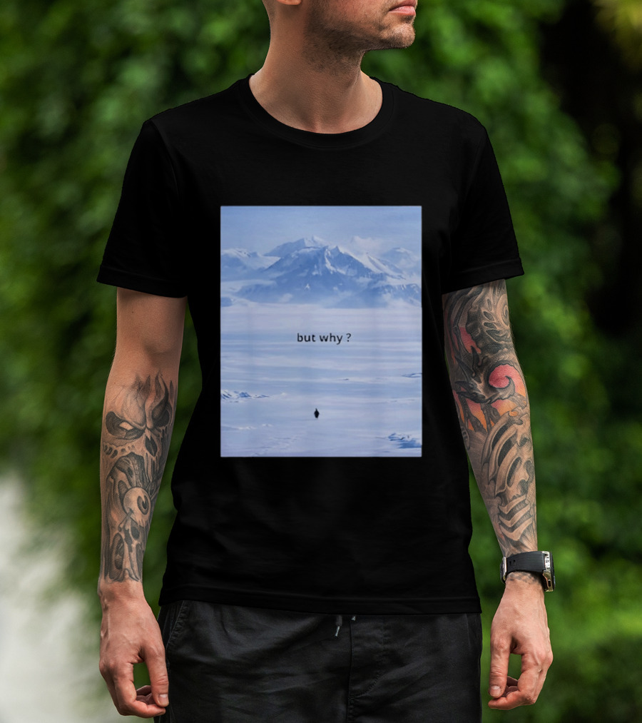 Penguin But Why Meme Snowy Mountains Motivational Scene T-Shirt