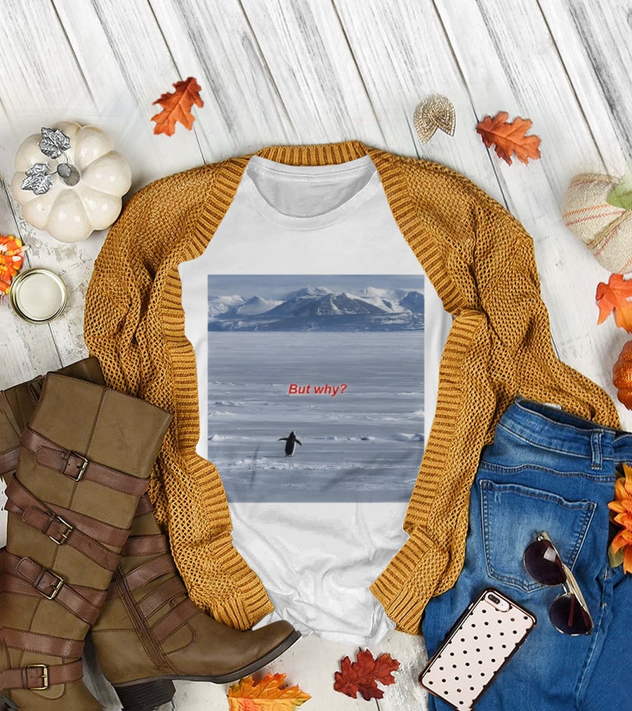 But Why Penguin Nihilist Scenic Antarctic Mountains T-Shirt