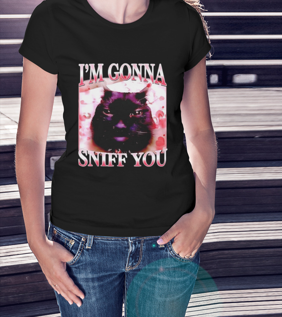 I'm Gonna Sniff You Cat Meme Valentine Aesthetic T-Shirt