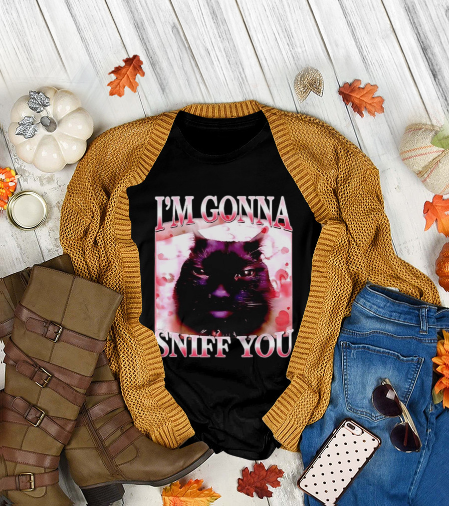 I'm Gonna Sniff You Cat Meme Valentine Aesthetic T-Shirt