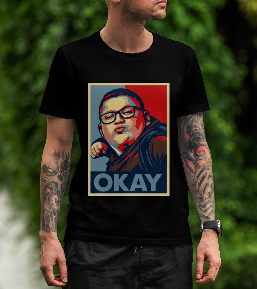 Okay Punch Kid Meme T-Shirt