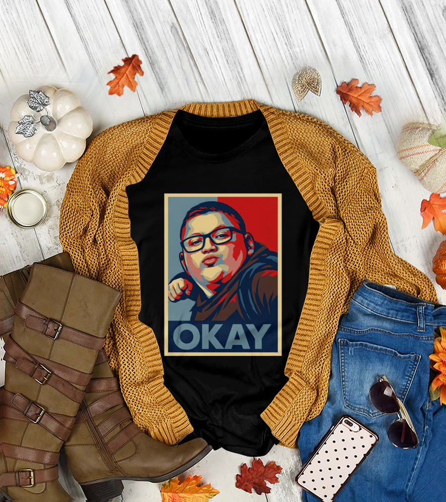 Okay Punch Kid Meme T-Shirt