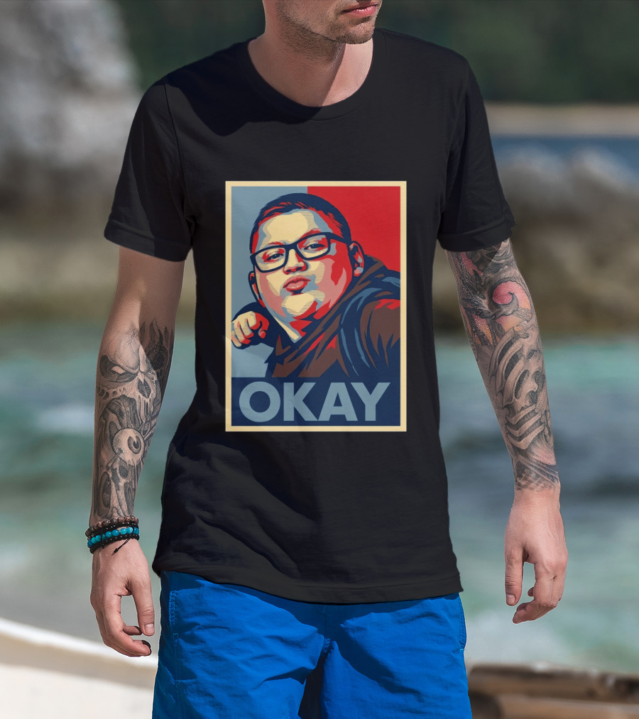 Okay Punch Kid Meme T-Shirt