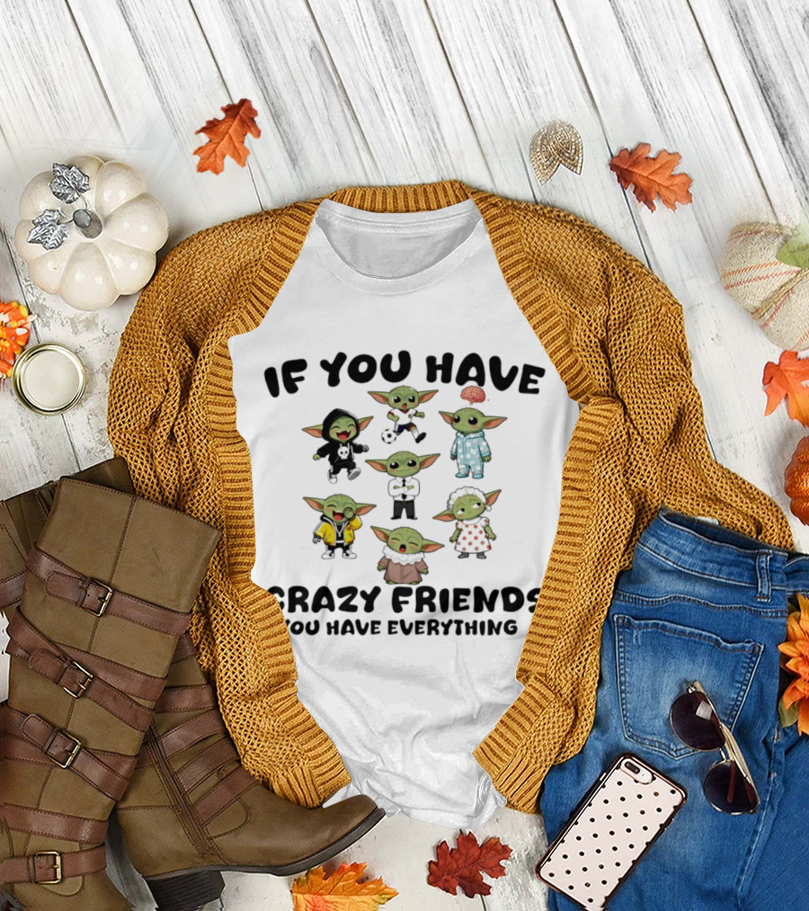 If You Have Crazy Friends You Have Everything Baby Yoda Characters Collection T-Shirt