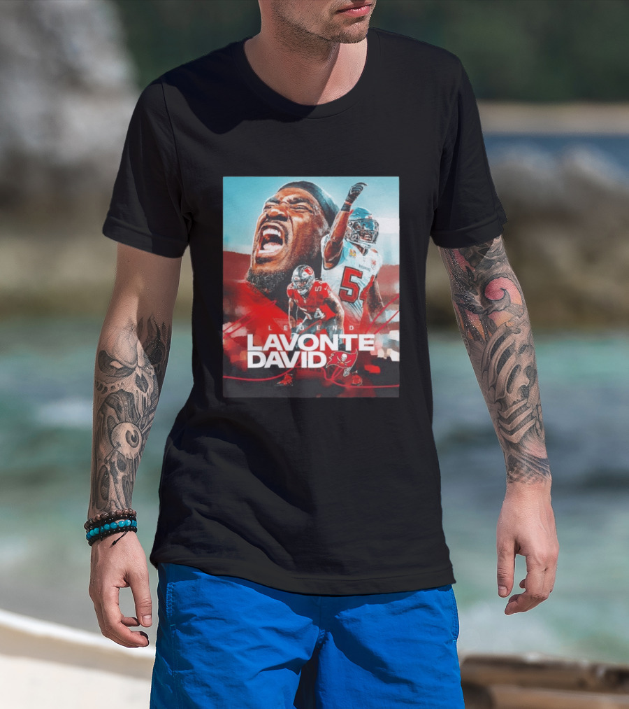 Lavonte David Legend Tampa Bay Buccaneers NFL Collage T-Shirt