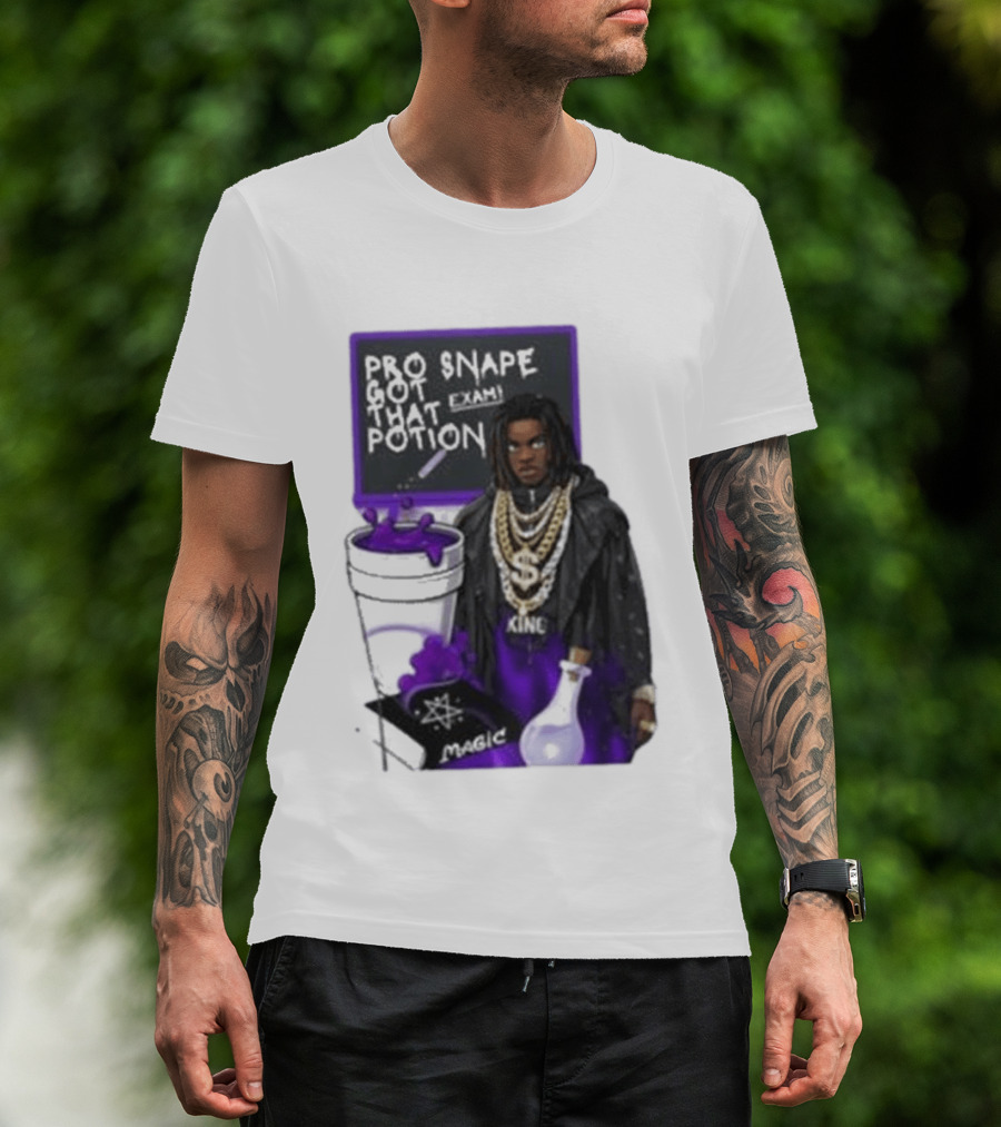 Pro Snape Got That Potion Magic Hip Hop Exam King T-Shirt