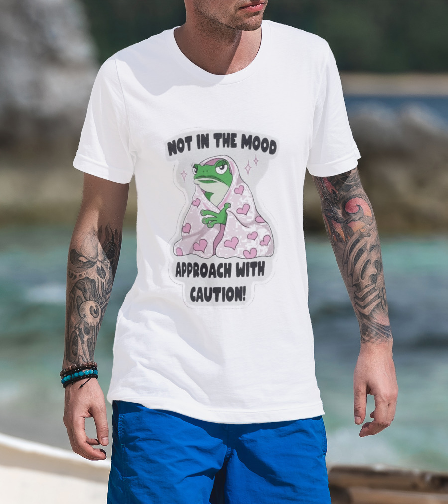 Not In The Mood Frog Wrapped In Blanket Approach With Caution T-Shirt