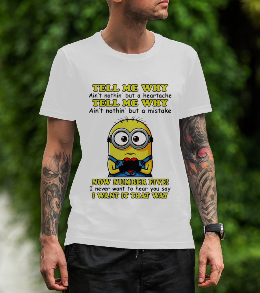 Tell Me Why Ain't Nothin' But A Heartache Mistake Minion I Want It That Way Number Five T-Shirt