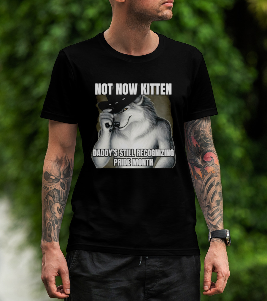 Not Now Kitten Daddy's Still Recognizing Pride Month Wolf T-Shirt
