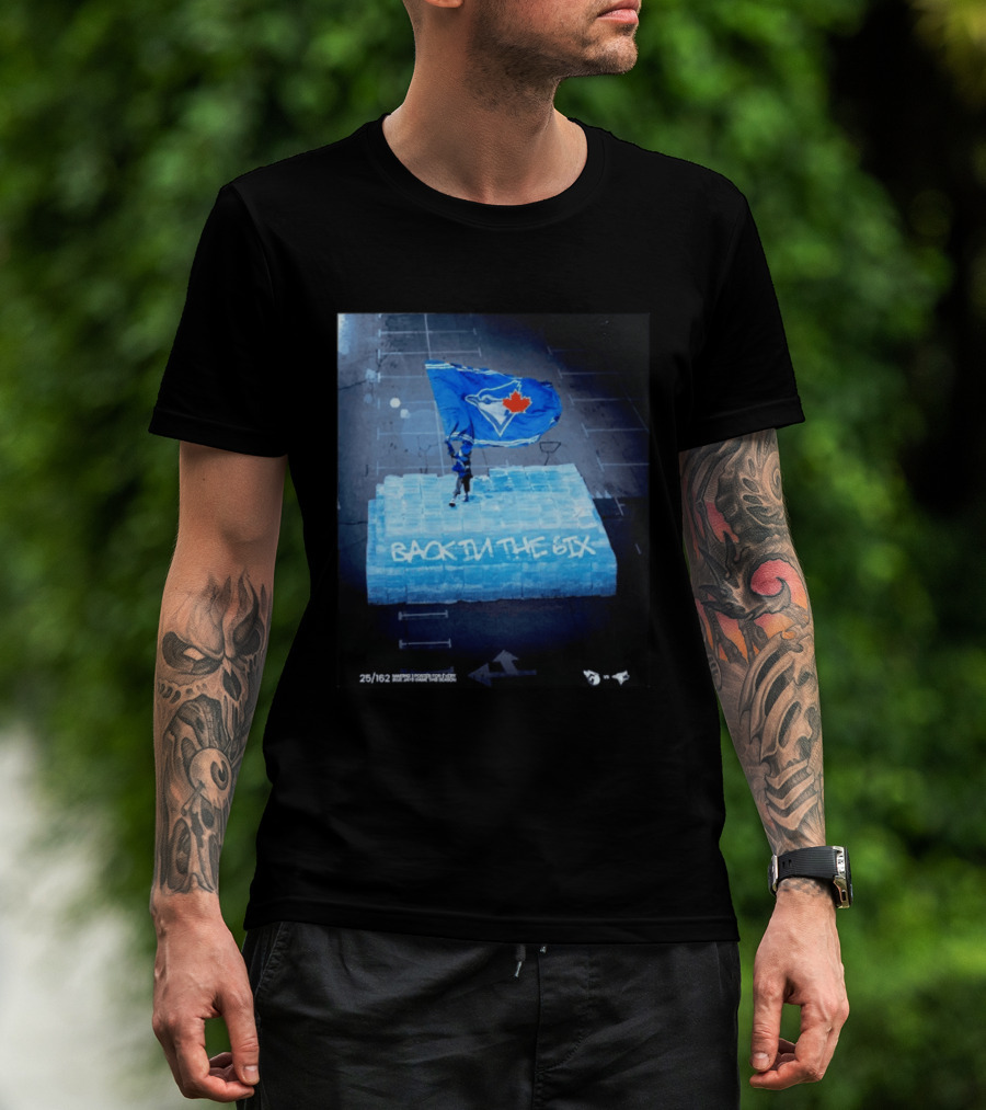 Toronto Blue Jays Back In The 6ix Ice Flag And Blocks T-Shirt