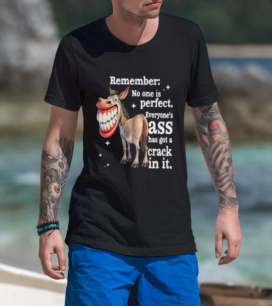 Remember No One Is Perfect Everyone's Ass Has Got A Crack In It Donkey T-Shirt