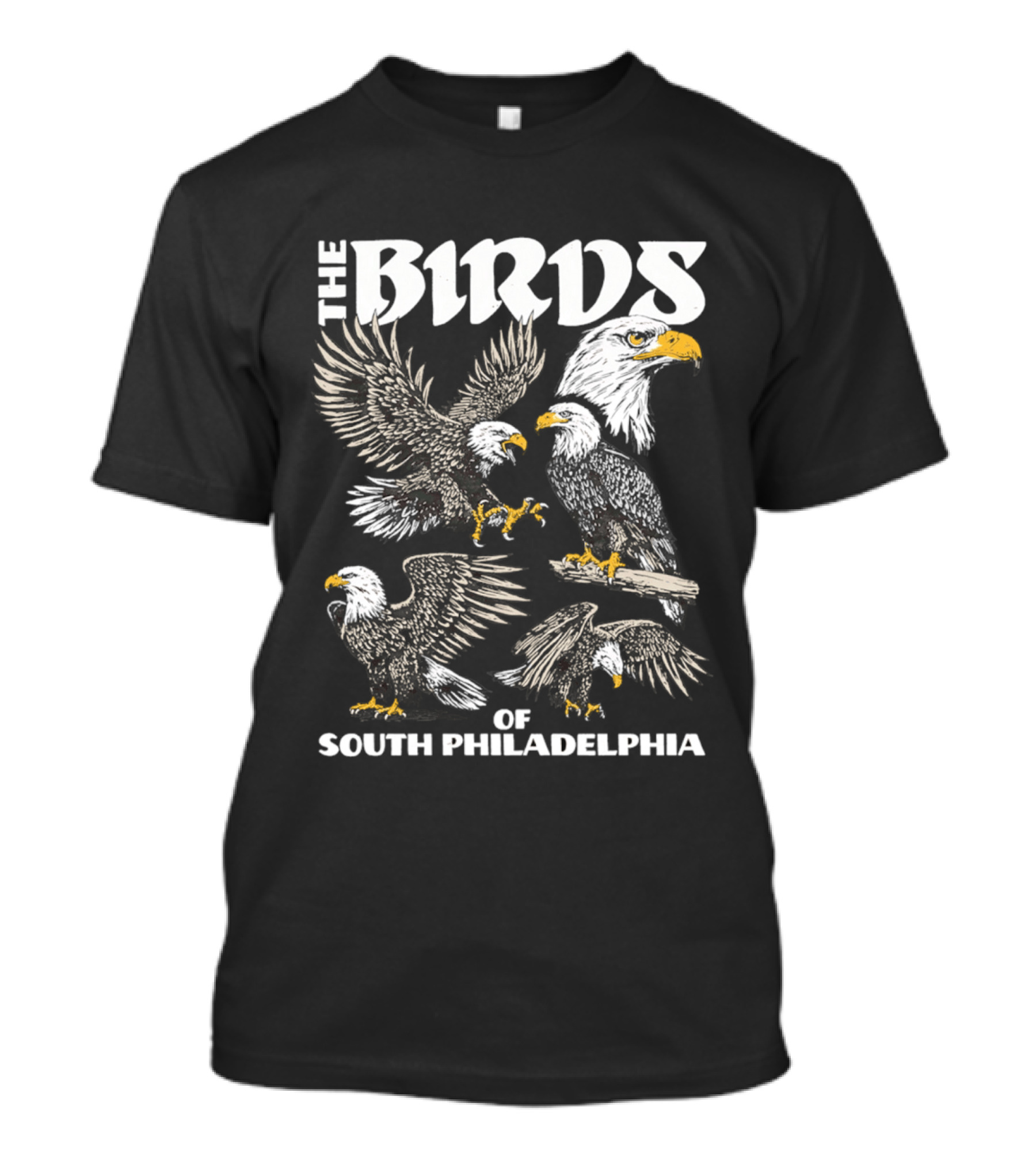 The Birds Of South Philadelphia Eagle Team Spirit T-Shirt