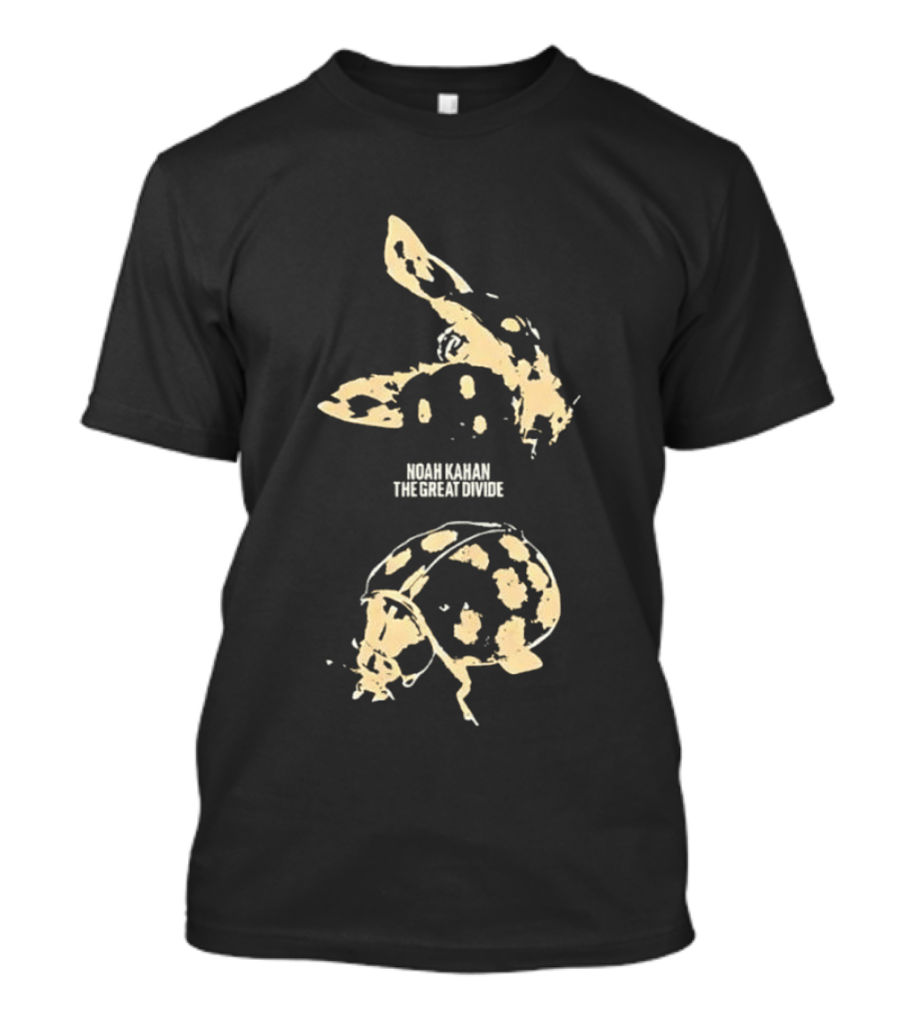 Noah Kahan The Great Divide Indie Folk Concert Graphics Dinosaur T-Shirt