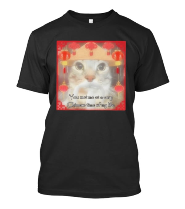 You Met Me At A Very Chinese Time Of My Life Cat Lanterns Hat T-Shirt