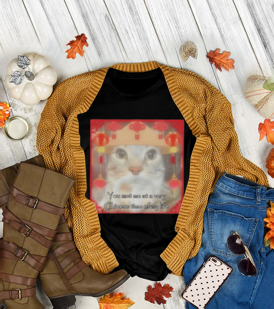 You Met Me At a Very Chinese Time of My Life Cat Lanterns Hat T-Shirt